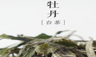 白牡丹白茶散茶储存方法 白牡丹白茶散茶储存方法是什么