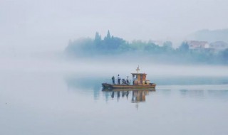 说说野旷天低树江清月近人这两句诗的意思 野旷天低树江清月近人的意思