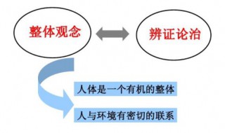 辩证理论的意思 辩证理论的意思是什么