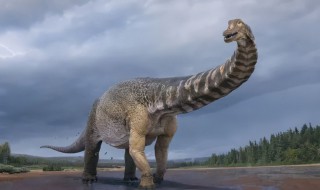 最大的恐龙是什么恐龙 地球上最大的恐龙是什么龙