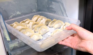 饺子怎么储存冰箱里 饺子储存冰箱的方法