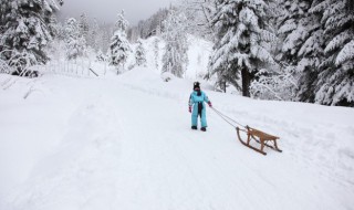 给小朋友解释雪的形成 怎么给小朋友解释雪的形成