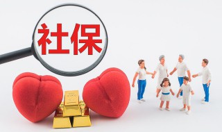 社保查询个人缴费明细怎么查 社保查询个人缴费明细如何查