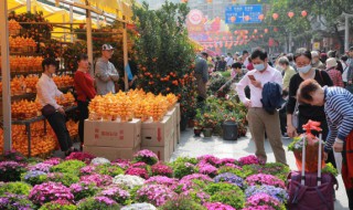 过年在家里放哪种鲜花寓意好 过年摆什么花好