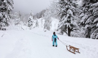 梦见下雪是什么意思预兆 梦见下雪好不好