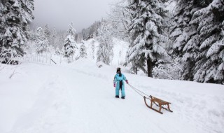 单板滑雪板有哪些类型 单板滑雪板介绍