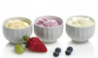自制蒙古熟酸奶的做法 自制蒙古熟酸奶如何做