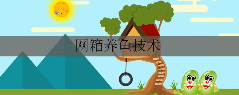 网箱养鱼技术 网箱养鱼技术的要点