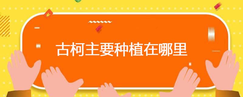 古柯主要种植在哪里 古柯主要种植在哪