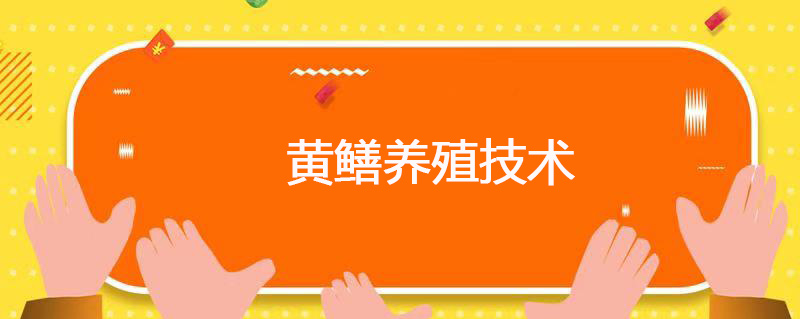 黄鳝养殖技术 黄鳝的养殖技术