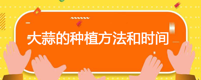 大蒜的种植方法和时间 大蒜种植的方法和时间
