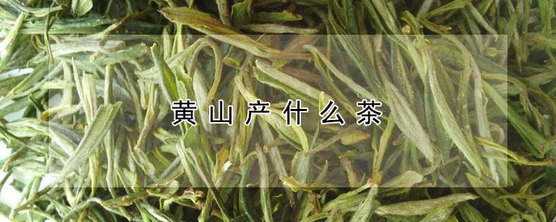 黄山产什么茶