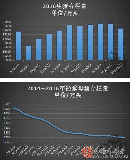 新形势下养猪散户的突围之路