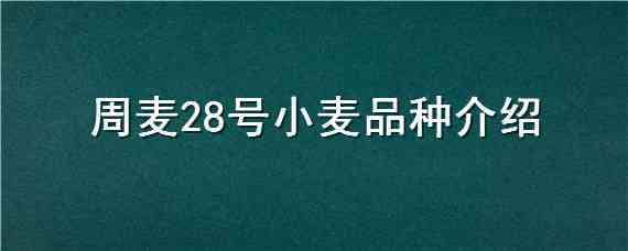 周麦28号小麦品种介绍