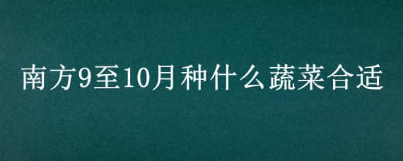 南方9至10月种什么蔬菜合适