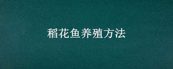 稻花鱼养殖方法