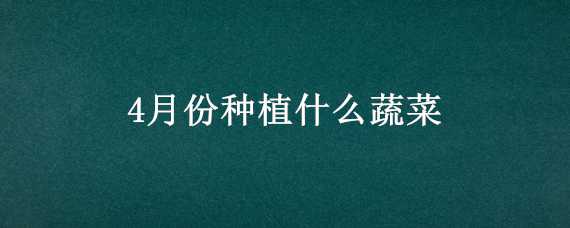 4月份种植什么蔬菜