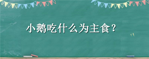 小鹅吃什么为主食