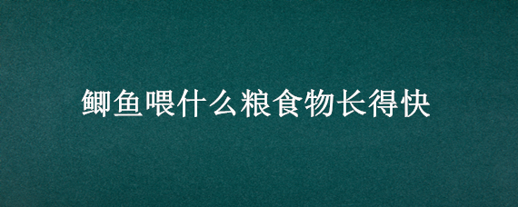 鲫鱼喂什么粮食物长得快