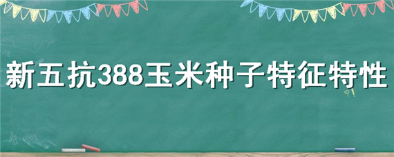 新五抗388玉米种子特征特性