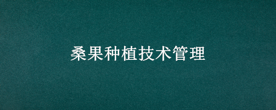 桑果种植技术管理