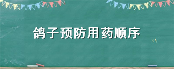 鸽子预防用药顺序