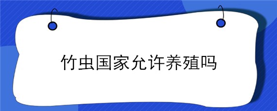 竹虫国家允许养殖吗