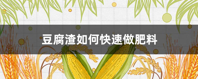 豆腐渣如何快速做肥料