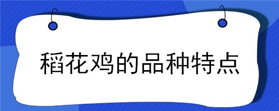 稻花鸡的品种特点