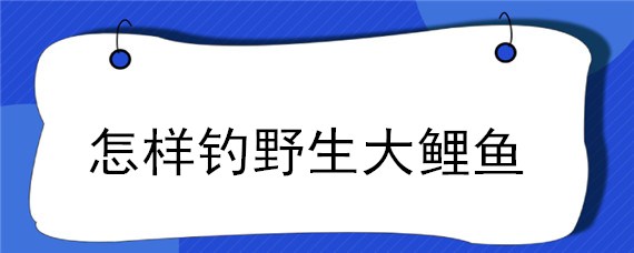 怎样钓野生大鲤鱼