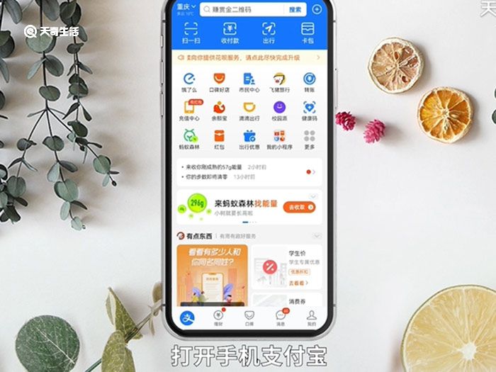 支付宝天天赚红包怎么弄 支付宝天天赚红包在哪里