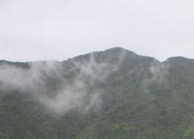 铁观音产地 铁观音主要产在哪里