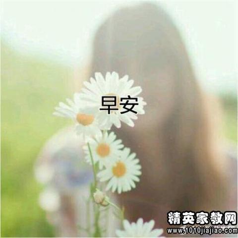 关于下雨的优美句子300字