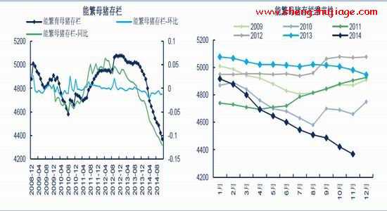 能繁母猪存栏走出新低 能繁母猪存栏量什么意思