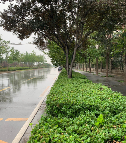 形容秋季雨天的优美句子