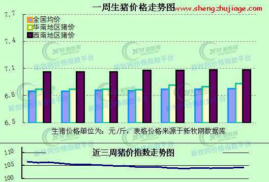 数据显示 数据显示英语