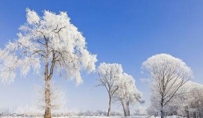 下雪思念诗句优美句子