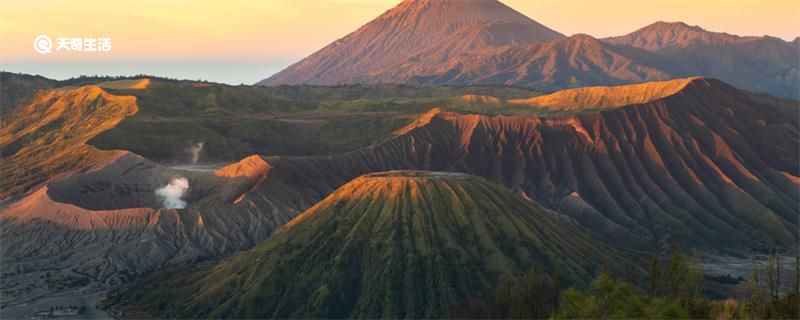 岩浆里有生物吗