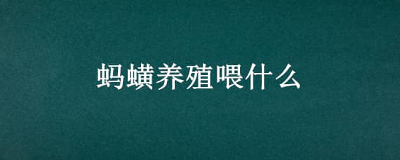 蚂蟥养殖喂什么，养殖蚂蟥怎么养殖技术