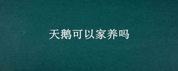 天鹅可以家养吗 家养天鹅怎么养