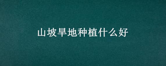 山坡旱地种植什么好 山坡旱地种植什么好些