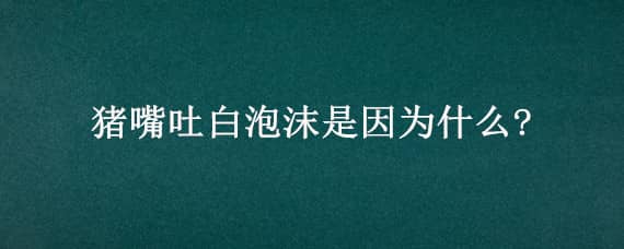 猪嘴吐白泡沫是因为什么? 猪嘴吐白泡沫是因为什么?不吃食是什么原因