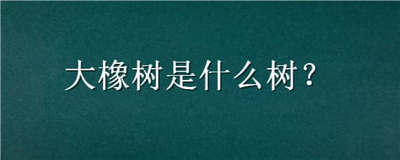 大橡树是什么树 大橡树是什么树图片