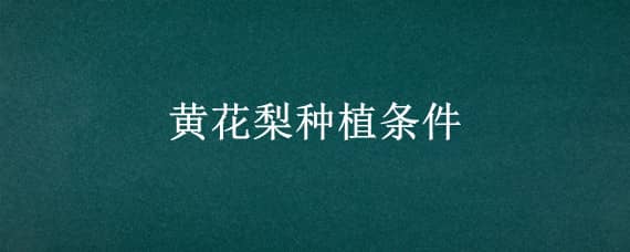 黄花梨种植条件 黄花梨种植条件要求