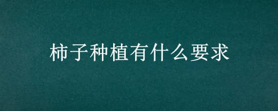 柿子种植有什么要求，柿子种植有什么要求和要求