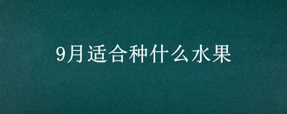 9月适合种什么水果 8一9月适合种什么水果