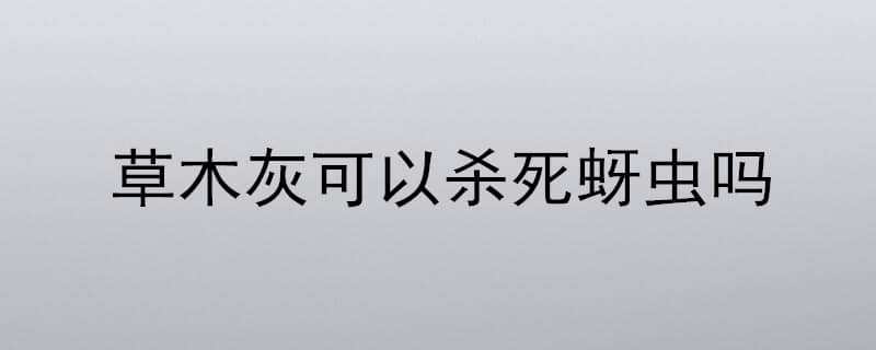 草木灰可以杀死蚜虫吗 草木灰水治蚜虫的注意事项