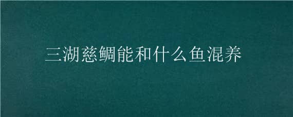 三湖慈鲷能和什么鱼混养（三湖慈鲷能和什么鱼混养一起）