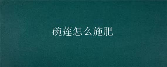 碗莲怎么施肥（鱼缸里的碗莲怎么施肥）