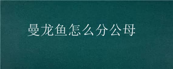 曼龙鱼怎么分公母 曼龙鱼怎么分公母视频